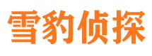 乐东寻人公司